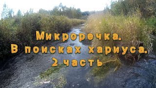 Микроречка.  В поисках хариуса.  2 часть