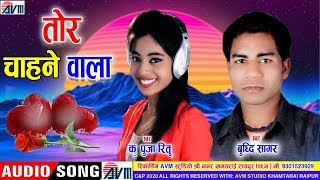 Buddhi sagar | Pooja Ritu | Cg Song | Tor Chahne Wala | New Chhattisgarhi Geet 2020 | AVM STUDIO