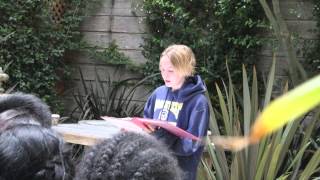 Summerbridge Slideshow 2015