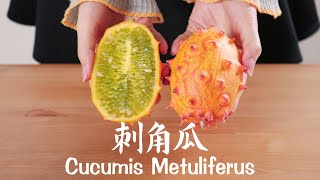 你吃过「刺角瓜 Cucumis Metuliferus」吗？感受一下来自火星的水果吧