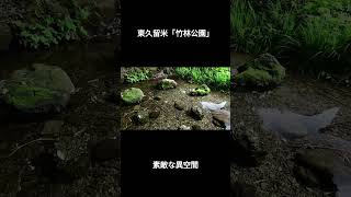 東久留米「竹林公園」#shorts