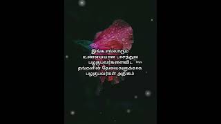 இங்க எல்லாரும் உண்மையான #shortfeed #trending #shortvideo #love #status #shorts #short #shortsviral