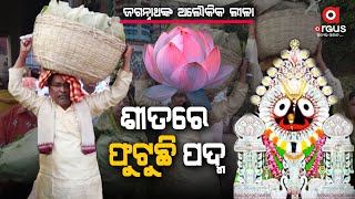 ଚିନ୍ତାମଣି ବାବୁଙ୍କର ଅଲୌକିକ କାହାଣୀ