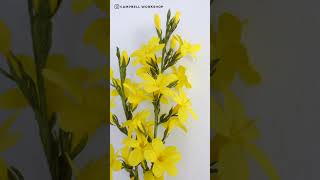 LEARN TO MAKE WINTER JASMINE with crepe paper | 串串金 #shorts #paperflower