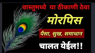 पैसा,सुख,समाधान येईल!!मोरपिसाचे वास्तुतले फायदे!!नक्की करुन बघा श्री स्वामी समर्थ🙏