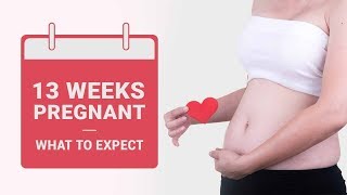 13 Weeks Pregnant  - What to Expect?