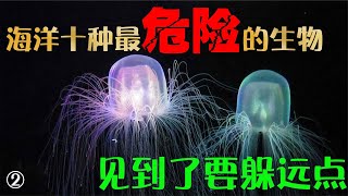 海洋里對人類最危險的10種生物！第一名你能猜到嗎？