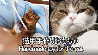 手作りおもちゃで遊ぶねこ。-Maru\u0026Hana play with a handmade toy.-