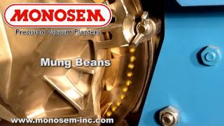 Monosem® Precision Meter Singulates Mung Beans