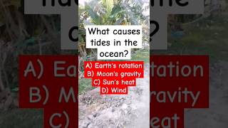 What causes tides in the ocean? #shorts #trending #puzzle #puzzlegames #brainteaser #riddles