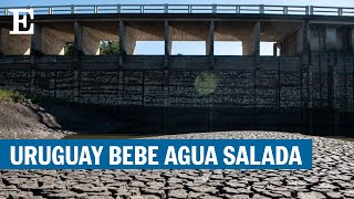Un país con sed: Uruguay atraviesa la peor crisis de agua en 70 años | EL PAÍS