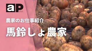 【アグリポート】農家のお仕事　馬鈴しょの収穫