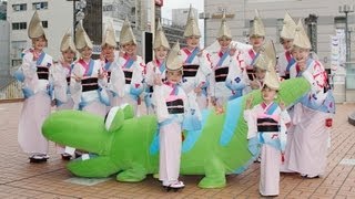 カメラマン山ちゃん「阿波おどり・天水連・2013」