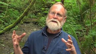 Saving the Salmon