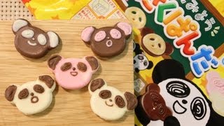 Kabaya Panda Chocolate Making Kit Japanese Interesting DIY Candy