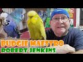 BUDGIE MAESTRO - ROBERT JENKINS