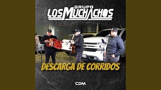 Descarga De Corridos (En Vivo) 40 Min