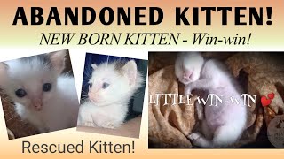 ABANDONED KITTEN - ITINAPON NA KUTING SA BASURAHAN | NEW BORN KITTEN | SESE TV