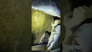 Leaking Behind Wall Woodson Rd