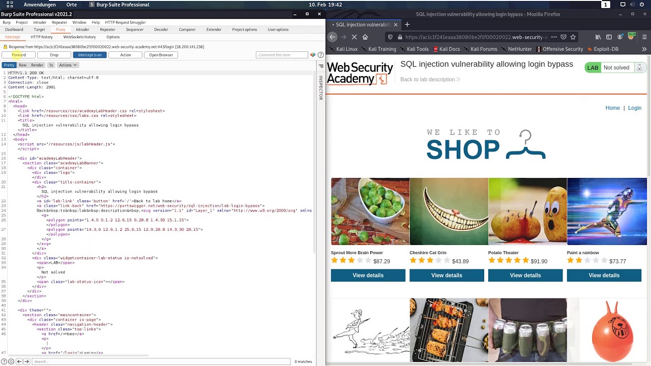 Sql Injection Tool Kali Quickmzaer