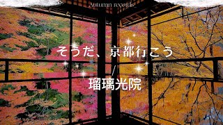 京都琉璃光院秋季特別拜觀（事前予約制、2023/11/27)