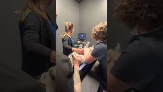 Evolution Veterinary Specialists Bel-Rea Internship Recruitment Video