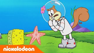 Spongebob | Nickelodeon Arabia | سبونج بوب | قمر نبتون