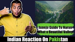 Guide To Naran Valley Reaction | Irfan Junejo | Indian Reactions