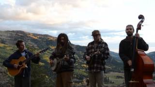 Kitchen Dwellers - Mountain