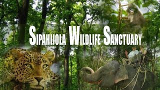 Sepahijala Wild Life Sanctuary Travel Sepahijala Zoo. Zoological Park Tripura