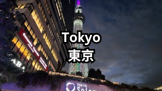 Last Day In Japan: TOKYO SKYTREE and teamLab Planets Experience - 4K UHD