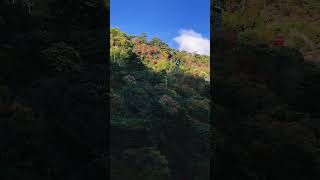 紅葉🍁湯の山温泉　ロープウェイ