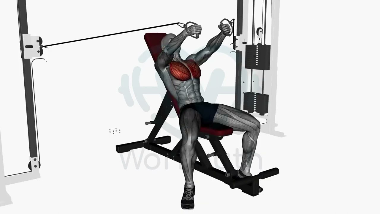 Incline Bench Cable Fly - YouTube