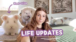 A Much Needed Life Update + Meet Olive 🐰