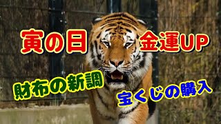 11月22日(金)は、お金に縁起の良い日とされる寅の日です#寅の日 #金運 #宝くじ #財布の新調 #開運 #風水