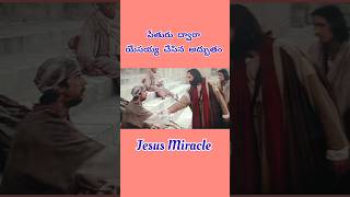 యేసయ్య పేతురు ద్వారా చేసిన అద్భుతం  | jesus Miracles |@SSALONEWITHJESUS