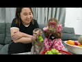 monkey kobi adorable reaction when receiving a fruit gift from mrs. peggy lin