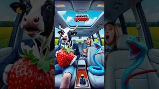 ❤️Evolution of Car: Snake car driving with cow and family 🥰 #cat #cute #love #shorts