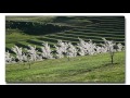 Walking and Praying the Labyrinth