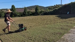 Racing against the clock to get my Tiftuf lawn renovated for Christmas.