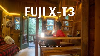 Fuji XT3 | Cinematic | Cabin | Flog | 4K | Samyang 12mm | ASMR | Long GOP | Relaxation