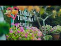 Taman Tumbina Bintulu