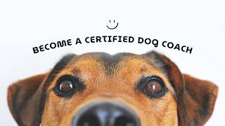 Become a Certified Dog Lifestyle Coach