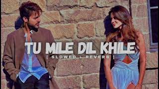 Tu Mile Dil Khile - (Slowed + Reverb) Stebin Ben, Asees Kaur | Lofi Version