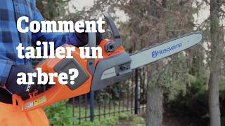 Élaguer un arbre - Comment élaguer un arbre ?