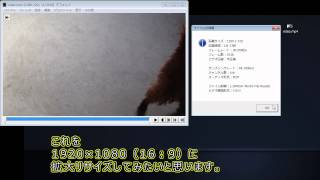 【AviUtl】動画をリサイズする方法【本体機能】