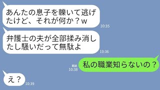 【LINE】私の息子を飲酒運転で轢いて緊急搬送させた義姉｢弁護士の夫が全部揉み消したｗ｣私「私の職業知らないの？」→一切反省しないクズ女を徹底的に制裁した結果ｗww