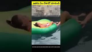 ఈమె Husband ఏం చేసాడో చూడండి #shorts #viral #humanity #amazing #helping #facts #help #prank #pranks