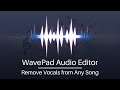 Remove Vocals from Any Song | WavePad Audio Editing Tutorial