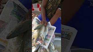 இவ்ளோ அயிலை மீனும் 200 ரூபாய் தான் friends#food#seafish#shorts#trending#new